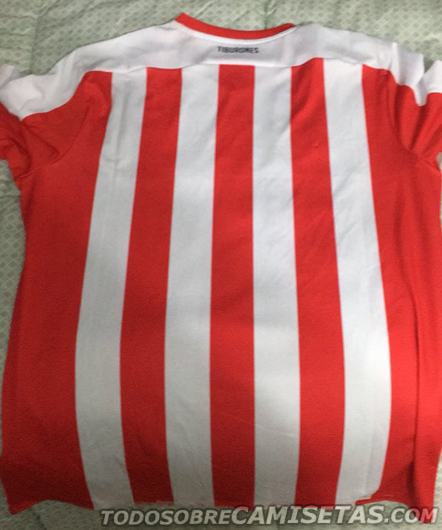 Vista de la espalda de la camiseta. 