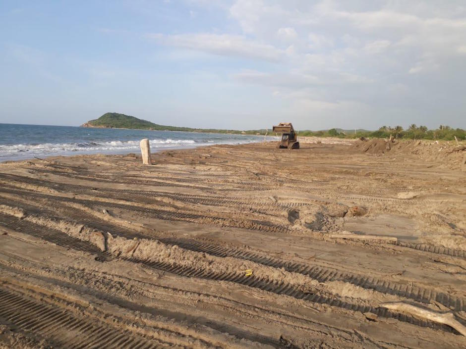 Los proyectos garantizan la sostenibilidad de los ecosistemas.