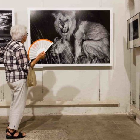 Muestra del festival francés de fotoperiodismo "Visa pour l'image".