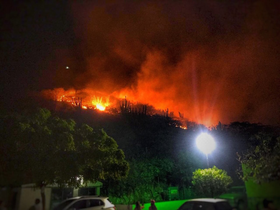 Las llamas consumiendo la cobertura vegetal.