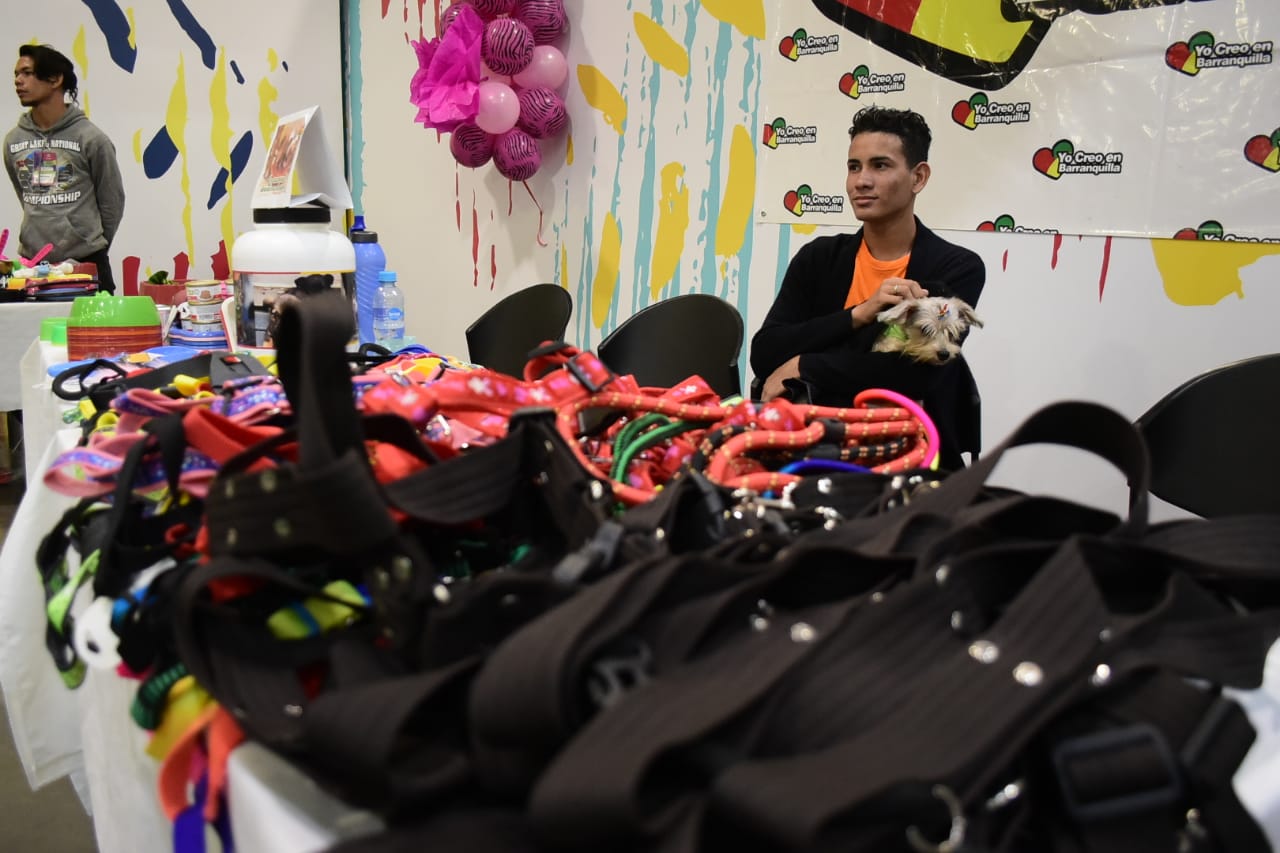 Stand con accesorios para mascotas.