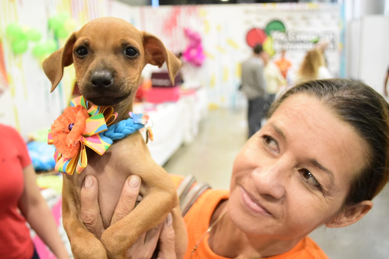 Sección dedicada a la adopción de mascotas.