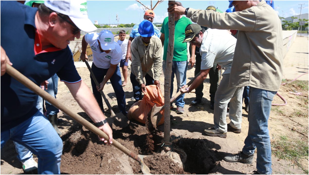 Estos "Nuevos ciudadanos" brindarán más oxígeno y sombra en el sector, afianzando además el terreno para evitar desbordamientos.