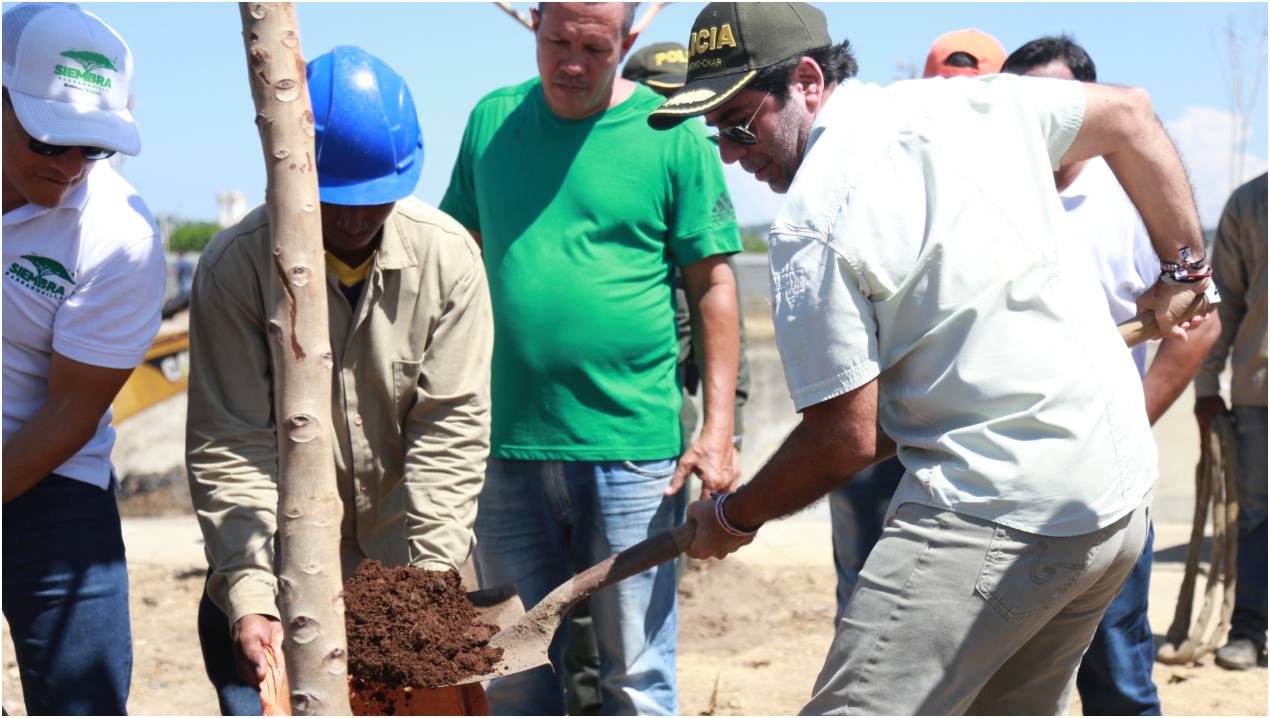 Toda la ciudad reverdece con Siembra Barranquilla.