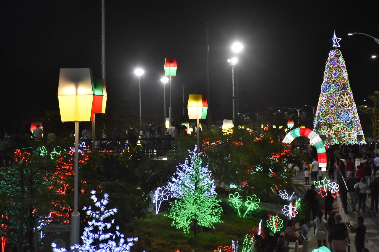 Grandes y chicos observan las luces navideñas.