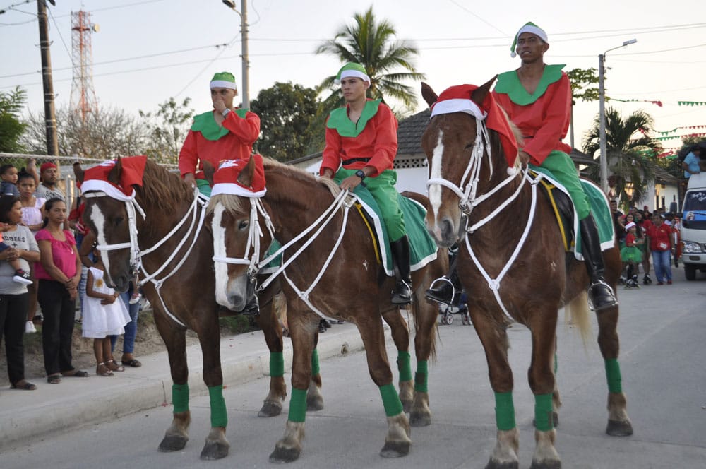 Los caballos fueron disfrazados con motivos navideños.