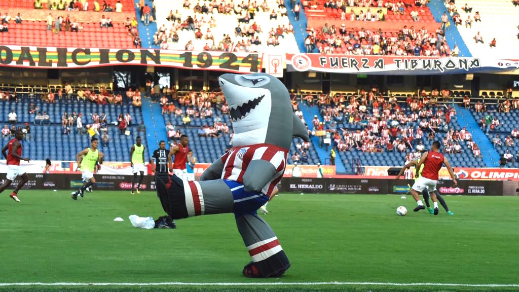 'Willy' el 'tiburón', siempre presente acompañando al equipo.