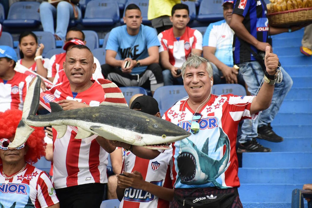 El fiel tiburón en la tribuna.