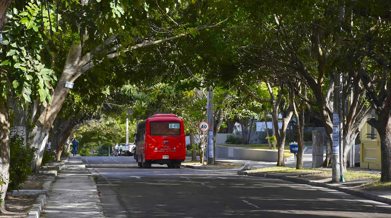 Agradable arborización y paisaje en el bulevar de la carrera 58.