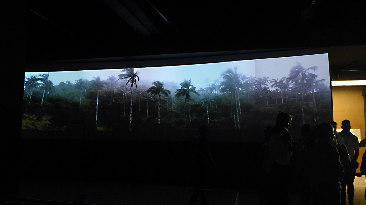La Sala de la Naturaleza volvió a mostrar la majestuosidad del Caribe.