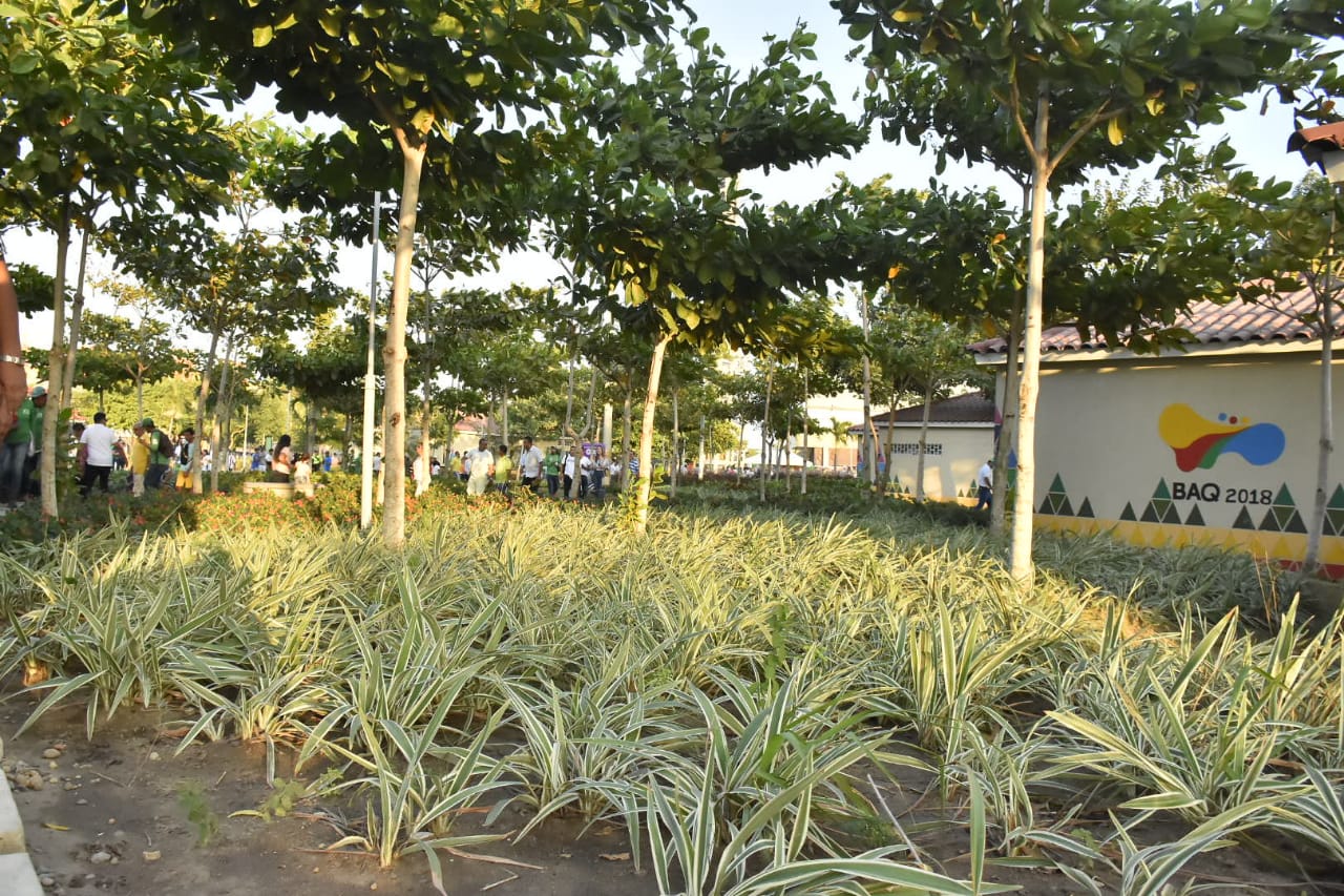 Jardines del complejo 'Pibe' Valderrama.
