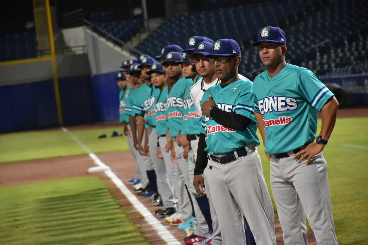 Leones en guardia.