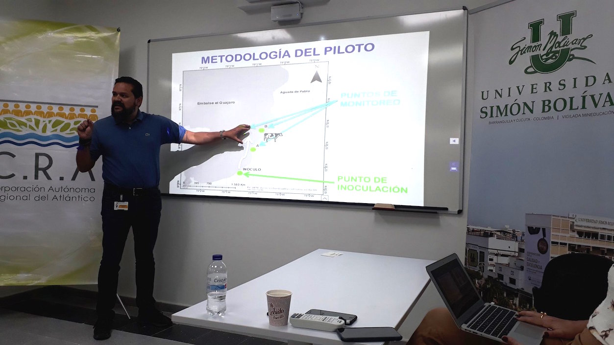 Explicación de la iniciativa.