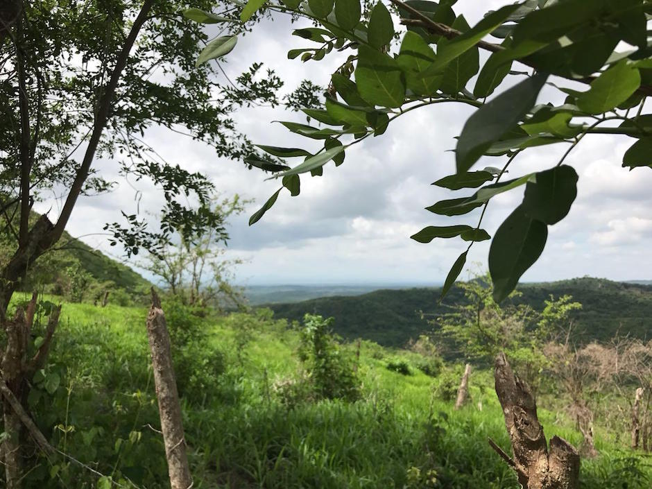 Zona e bosques poco conocidas.