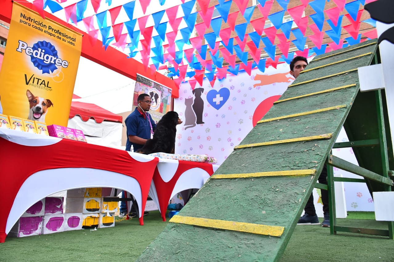 La feria también cuenta con una zona para mascotas.