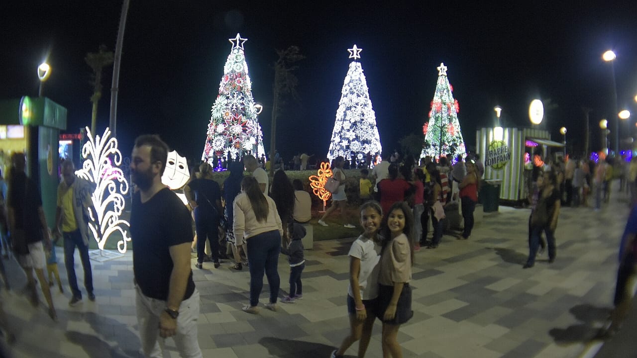 Arbolitos de Navidad iluminados.