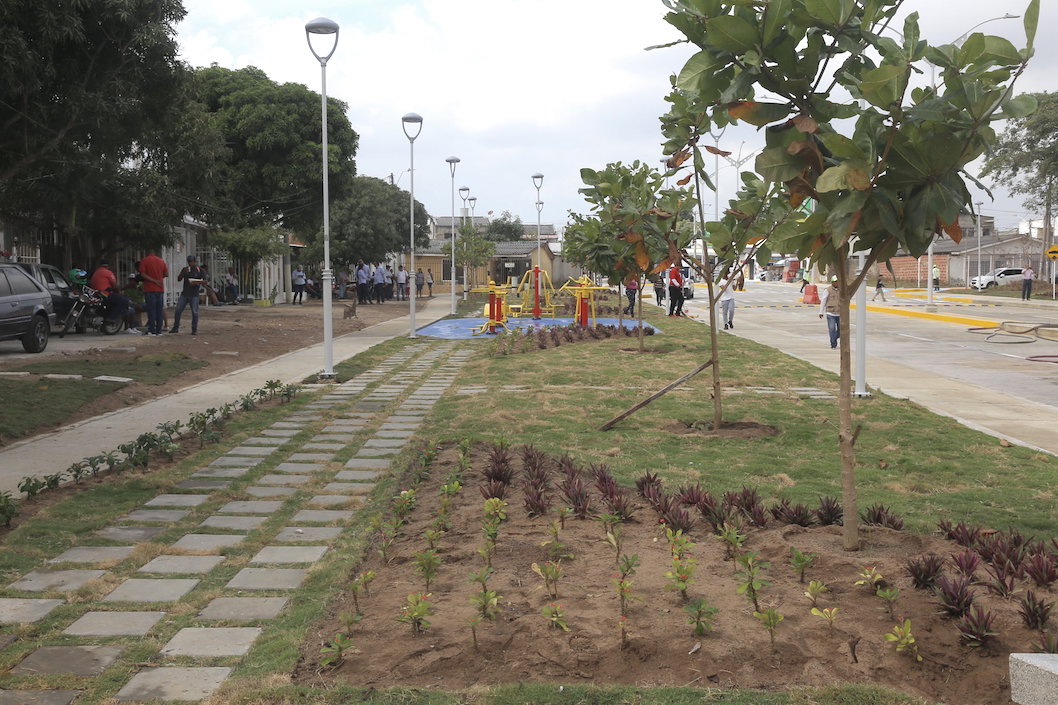 Arborización y juegos en la zona.