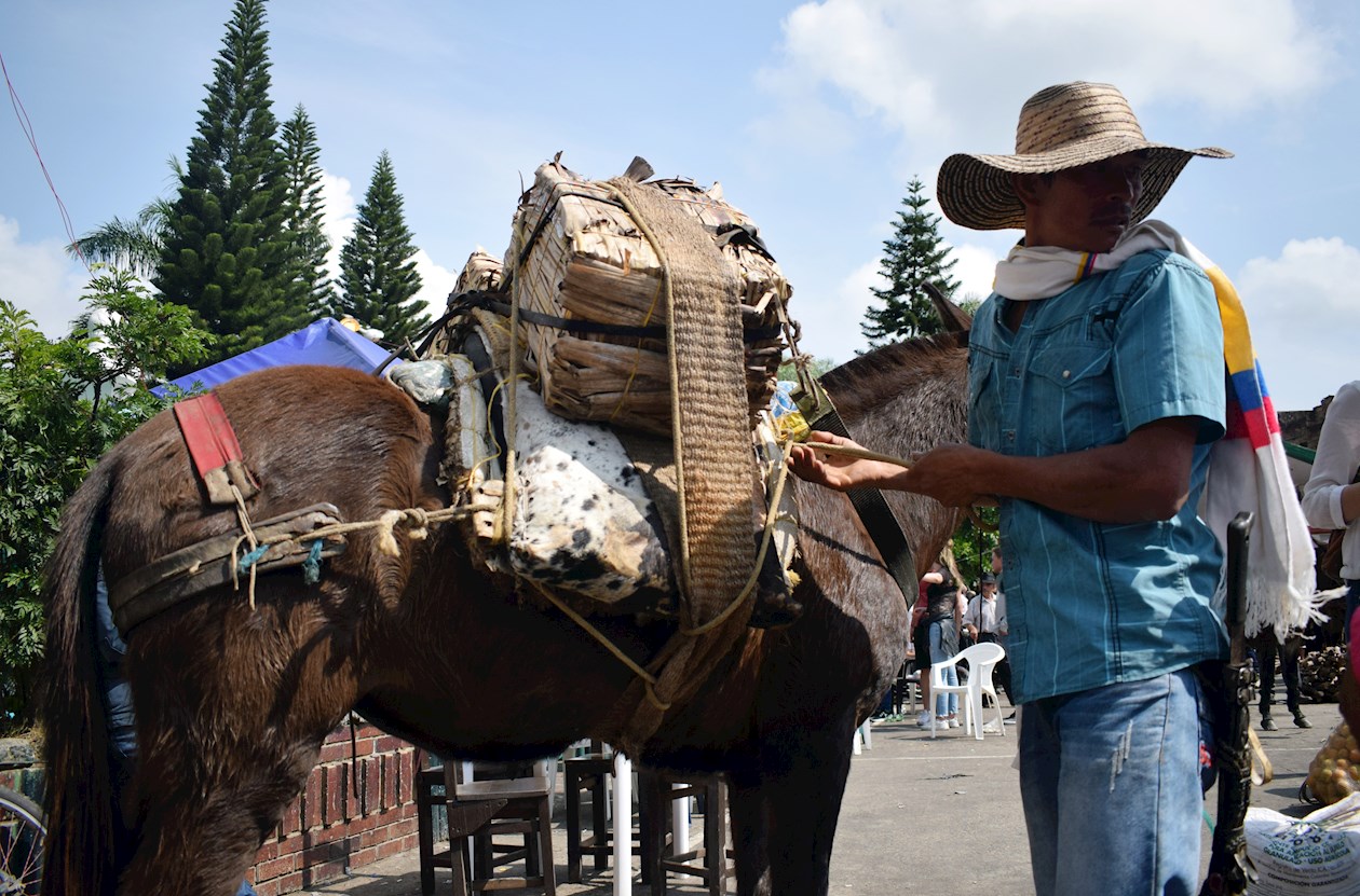 Trabajador transportando bocadillo en su mula.