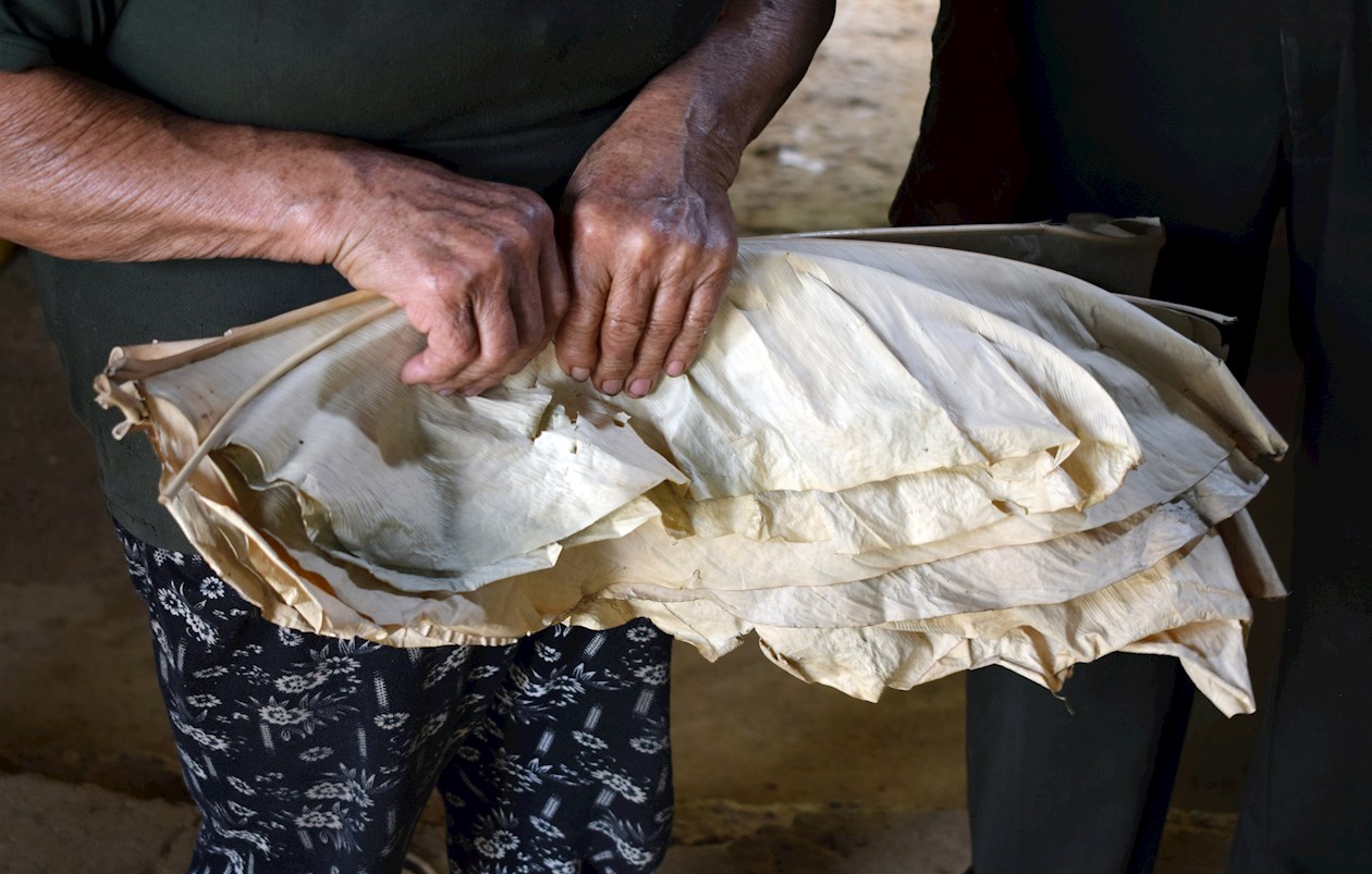 Hojas de bijao.