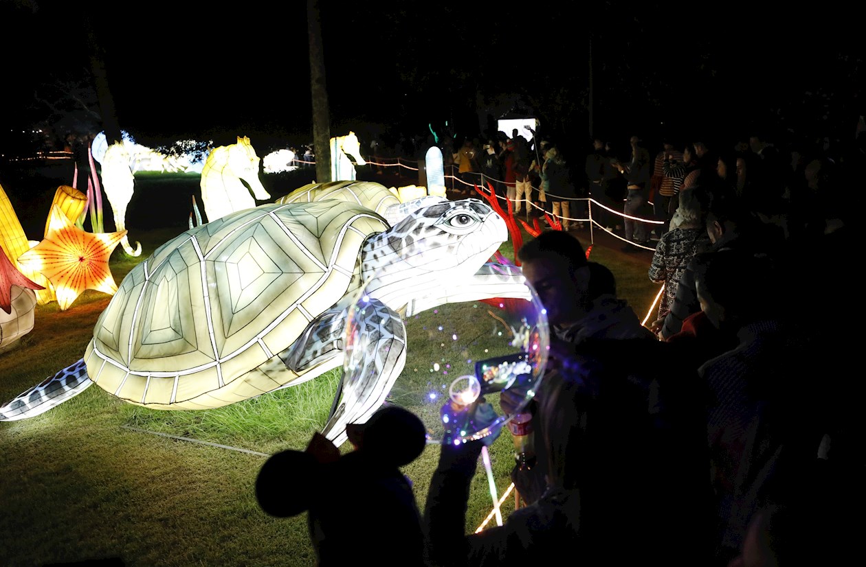  Una muestra diferente de los animales llenos de luz en el Jardín Botánico de Bogotá.