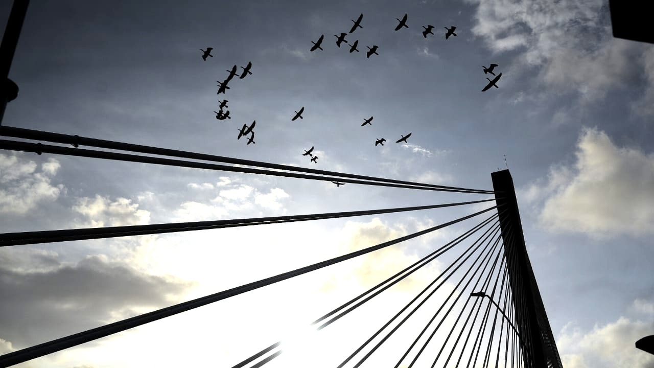 El nuevo Puente Pumarejo.