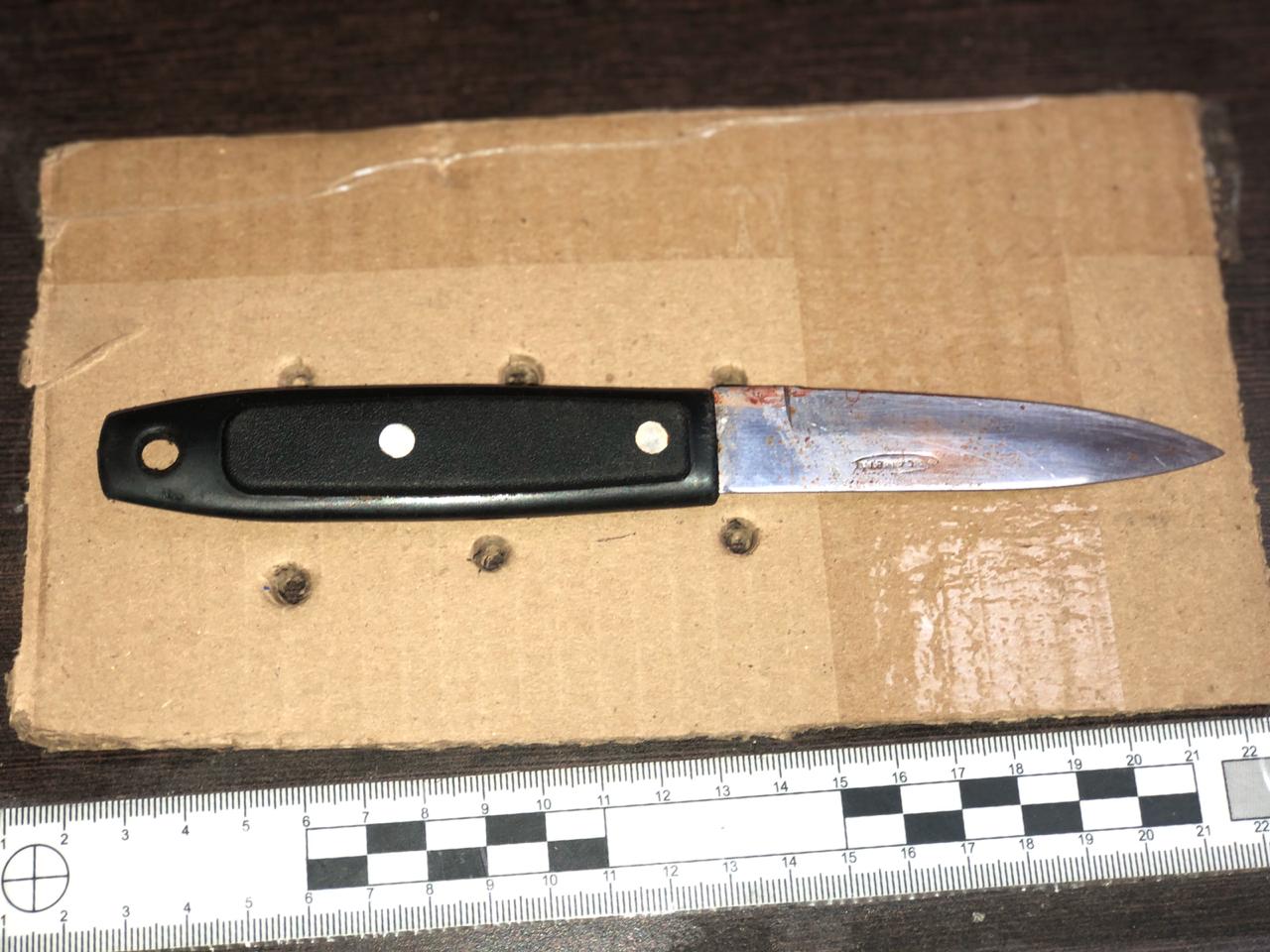 Cortesía. Con este cuchillo la adolescente atacó a su primo segundo.