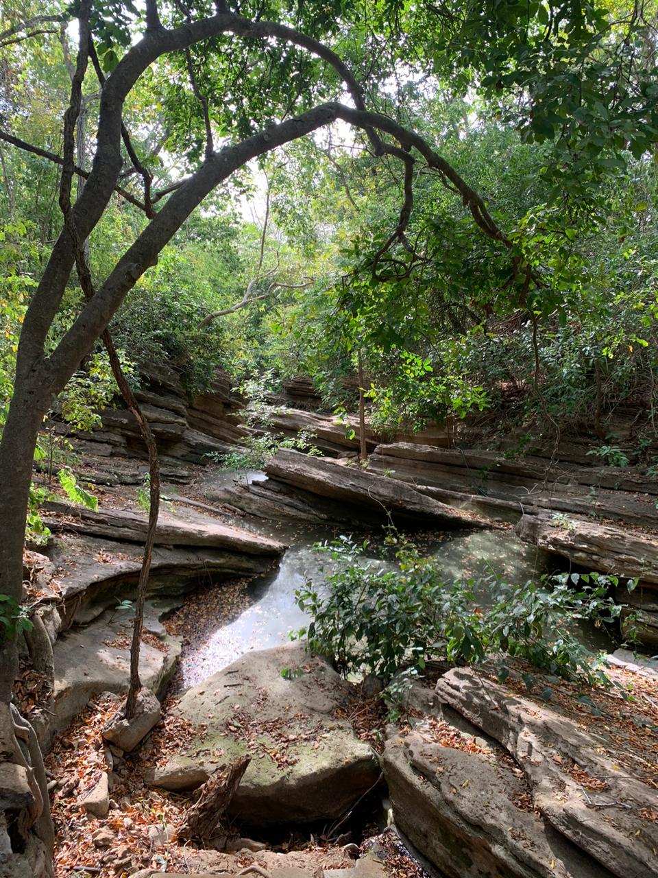En este municipio, los turistas pueden hacer paseos y disfrutar de la biodiversidad