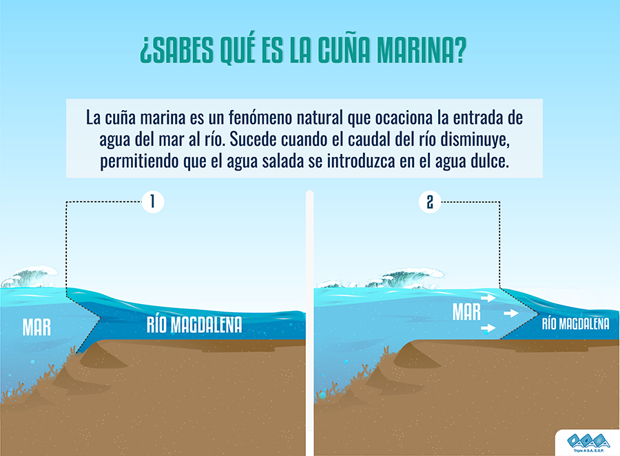 Explicación del fenómeno.