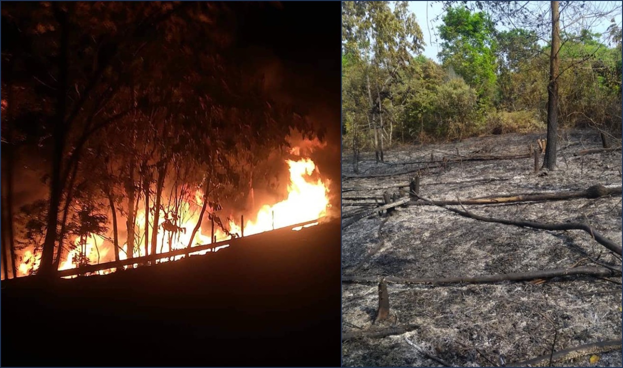 Ecopetrol Atentado en Orito.
