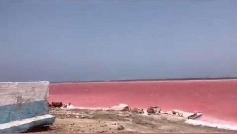 Las piscinas ya están en condiciones para extraer la sal.