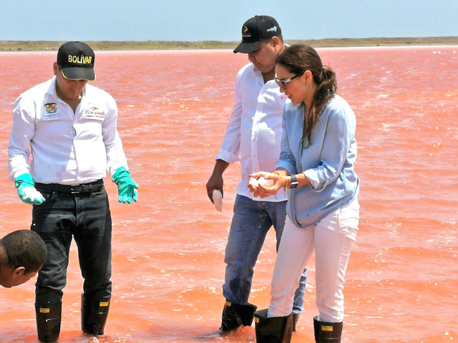 El Gobernador Dumek Turbay y la presidenta de la ANM Silvana Habib presidieron la reapertura.