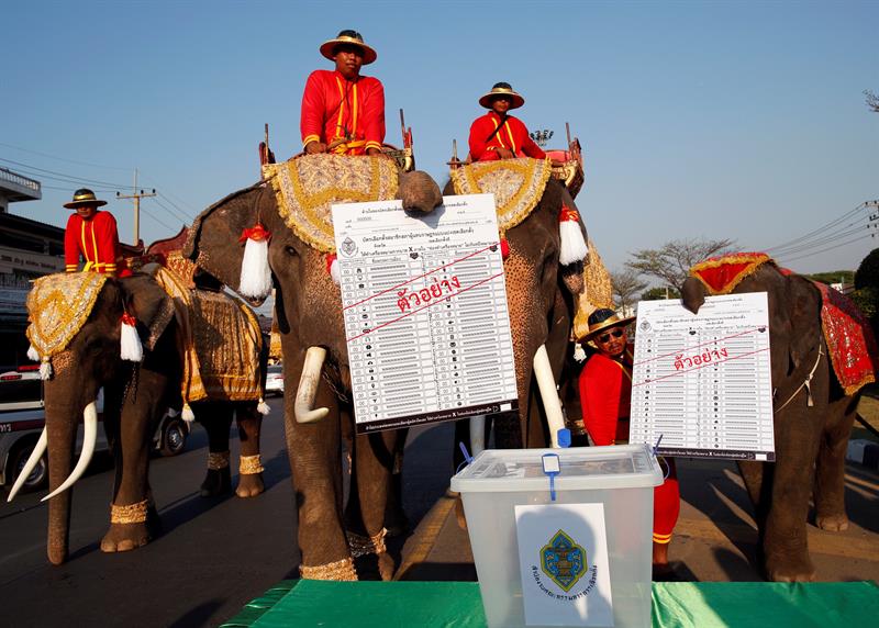 Los cuidadores protegen a estos animales en Tailandia.