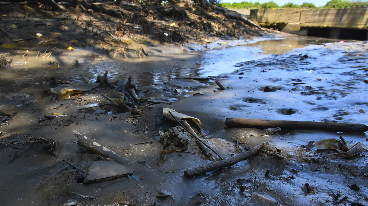 Zona donde el río pasa a la ciénaga de Mallorquín.