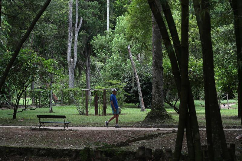 Visitantes del Jardín Botánico de Río de Janeiro.