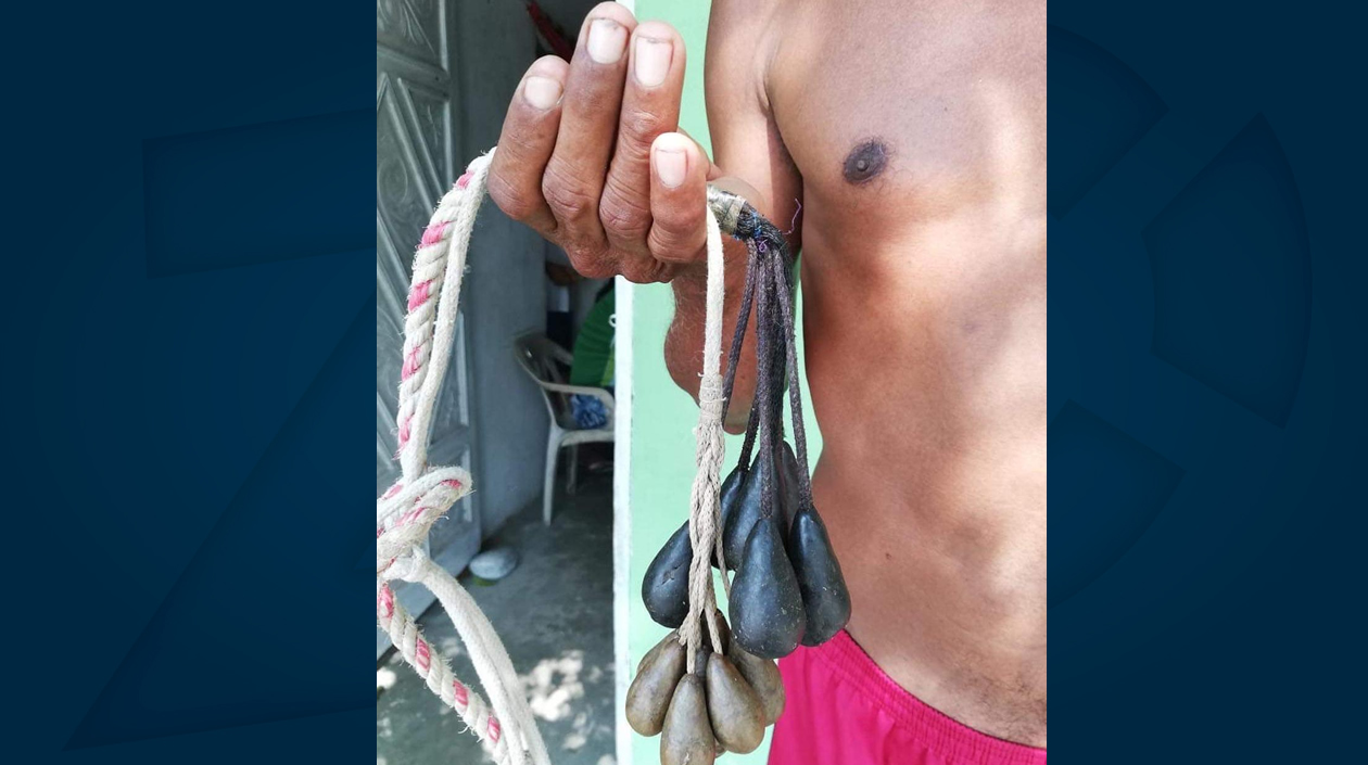 El látigo y las bolitas de cera para la flagelación.