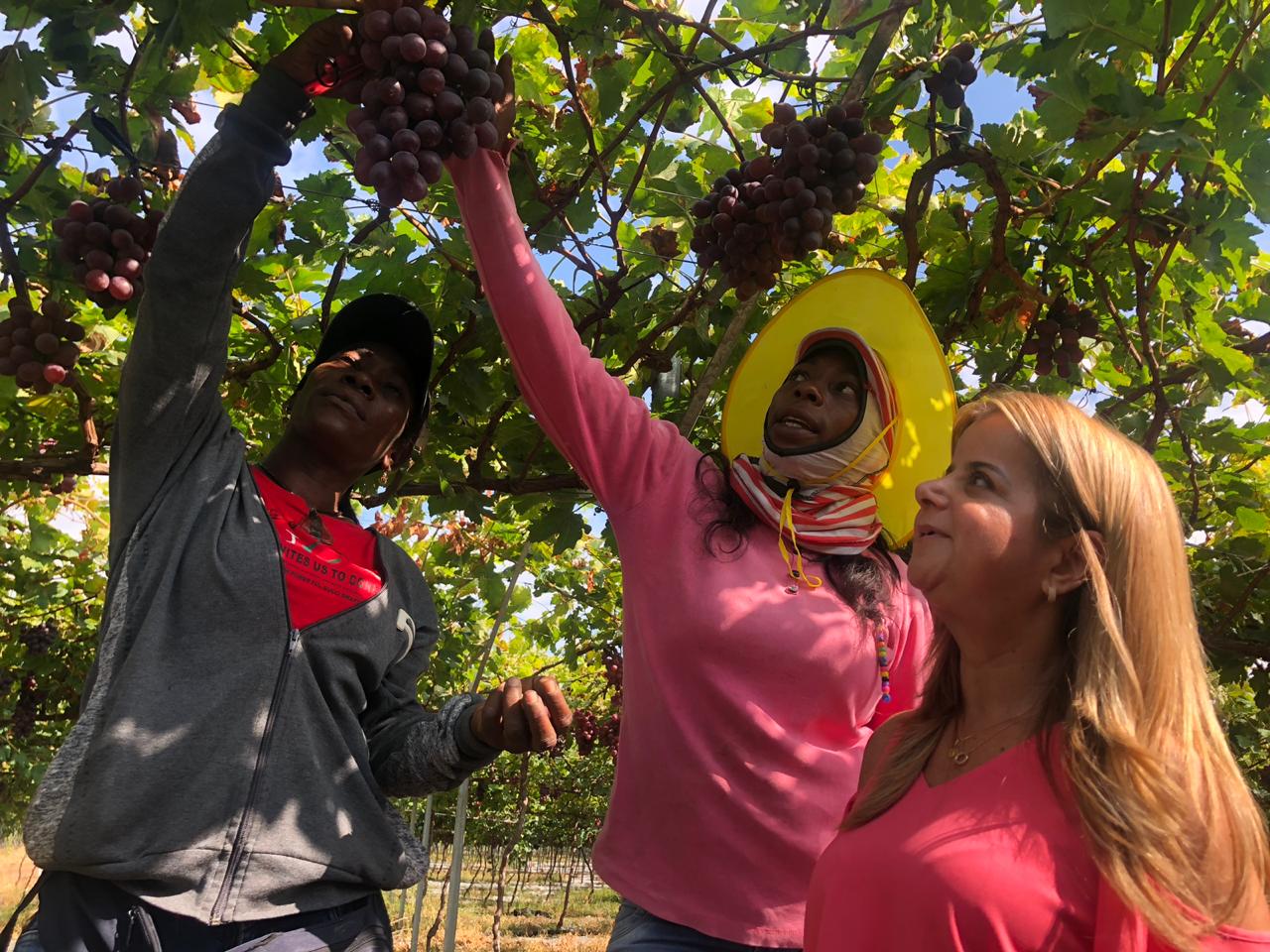 La candidata a la Gobernación, Elsa Noguera.