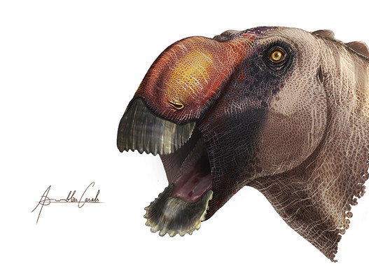  Reconstrucción del aspecto en vida de Aquilarhinus. 