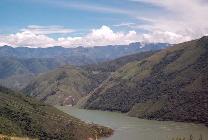 Imagen de la obra.
