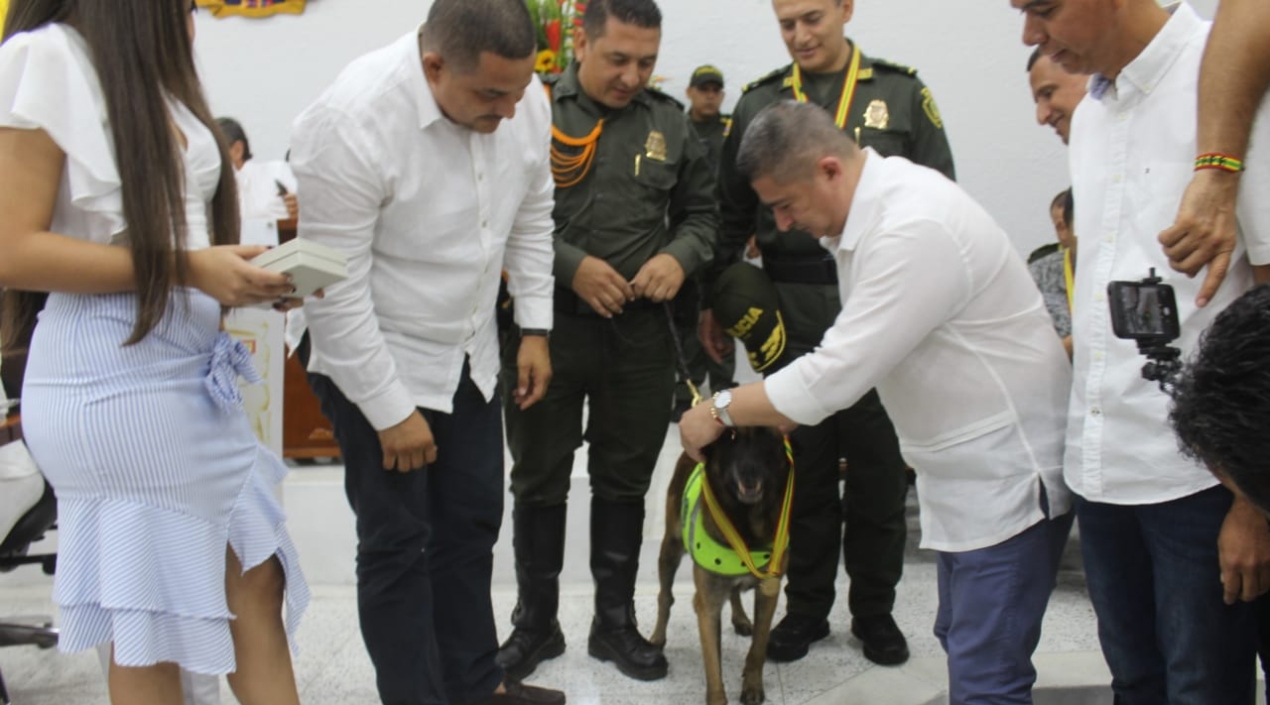 El perro 'Rambo' y su guía también fueron condecorados.