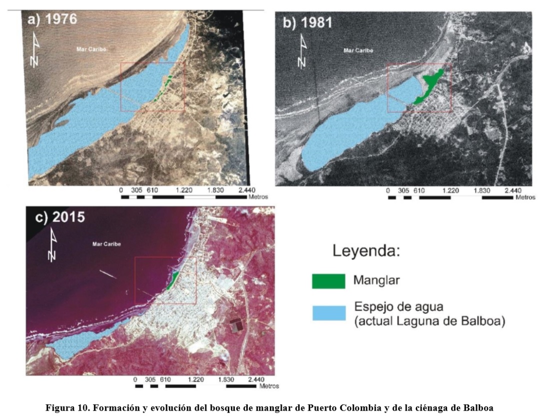 La evolución del bosque manglar de Puerto Colombia, Atlántico.