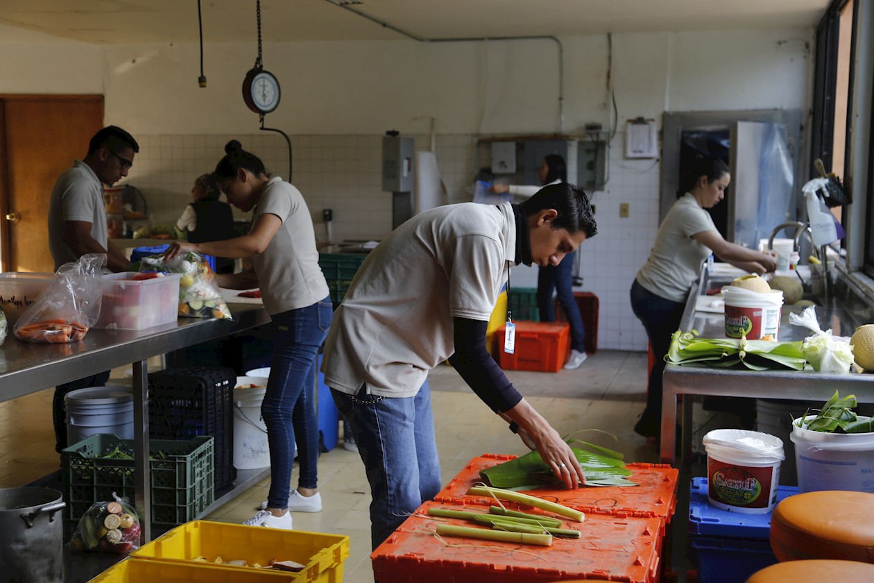  Para los veterinarios preparar y alimentar a los animales es una manera de ayudar a su desarrollo y conservación.