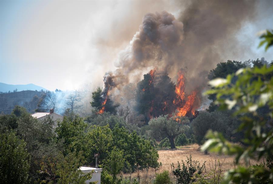 El centro y sur de Grecia se encuentra desde este fin de semana en estado de máxima alerta debido a las altas temperaturas, que han llegado a rozar los 40 grados, y a los fuertes viento