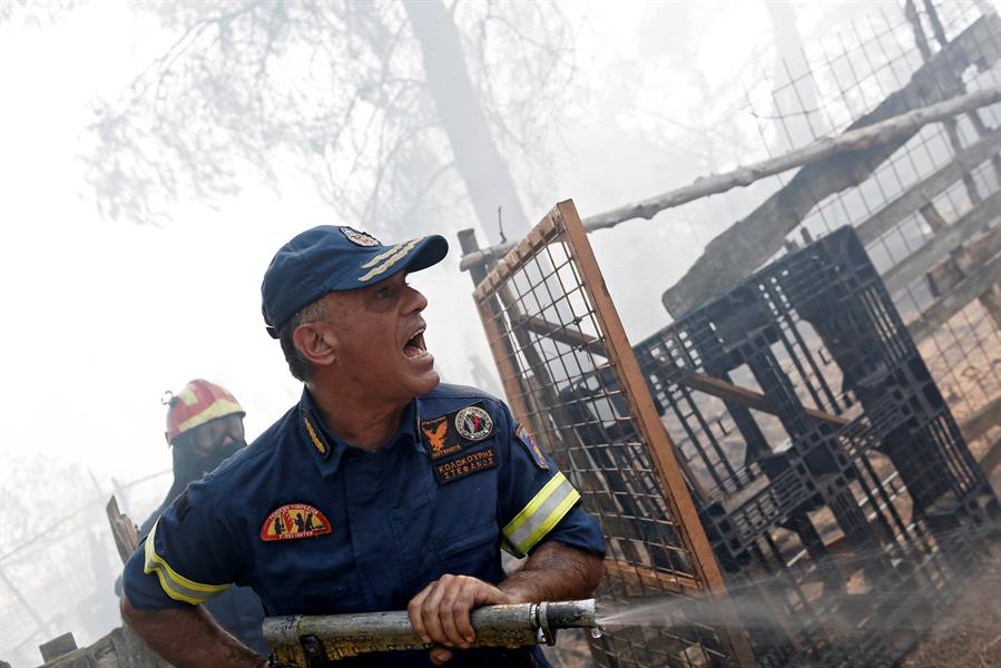 En las tareas de extinción han participado 141 bomberos con 46 medios terrestres y 13 aéreos.