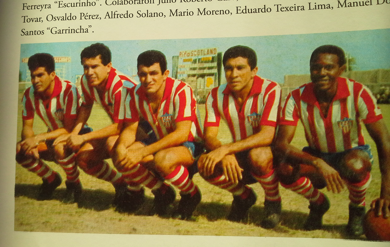 Alienación Junior