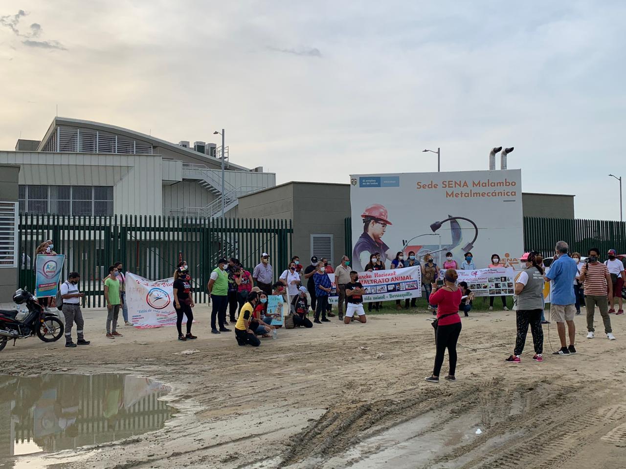 Plantón de animalistas en la sede del Sena en Malambo.