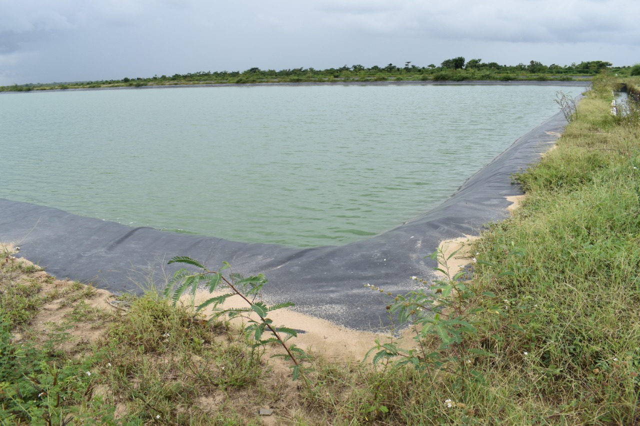 Las albercas construidas en dos hectáreas tuvieron que llenarlas con agua cruda para evitar que el sol cristalice y dañe las geomembranas.