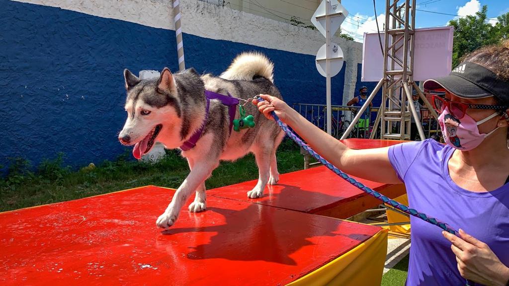 Las mascotas tuvieron su espacio también.
