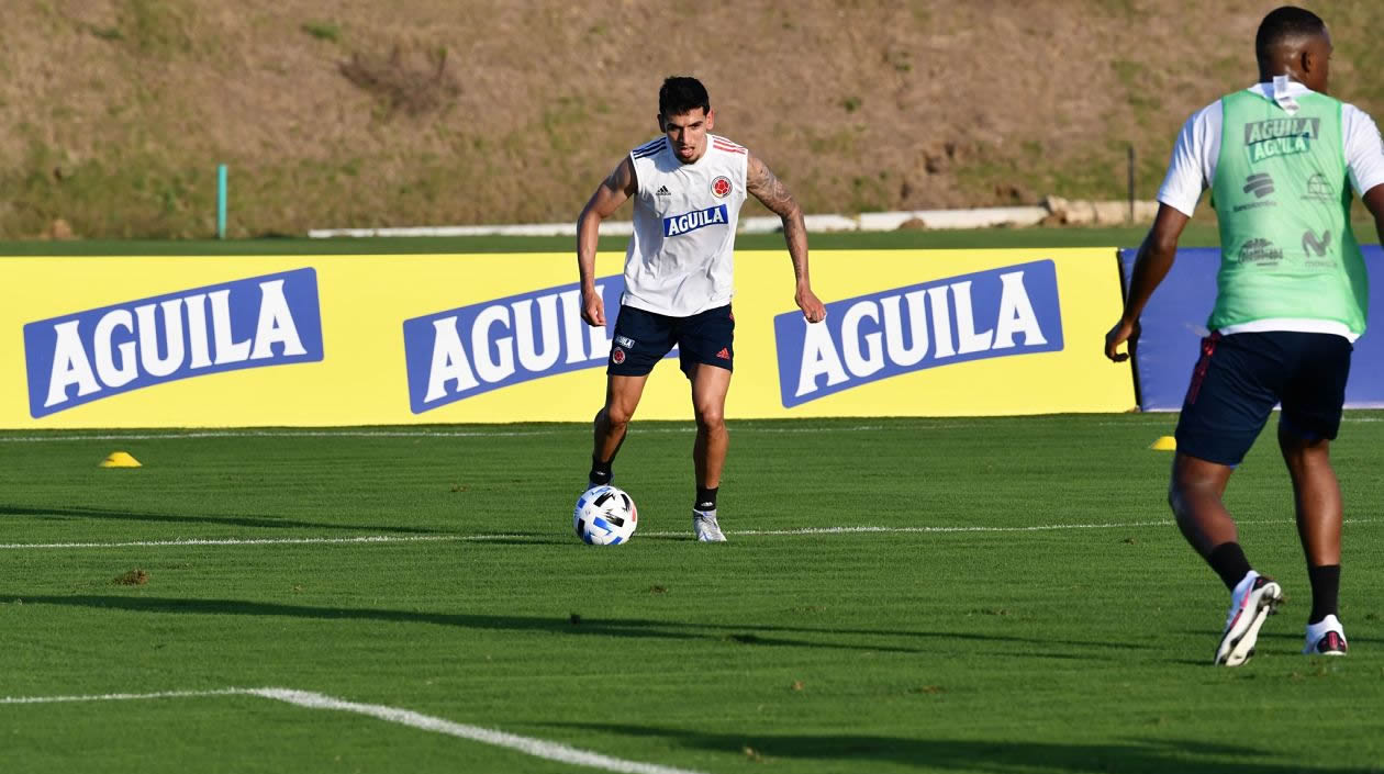 Trabajos de campo en la sede de la Selección.