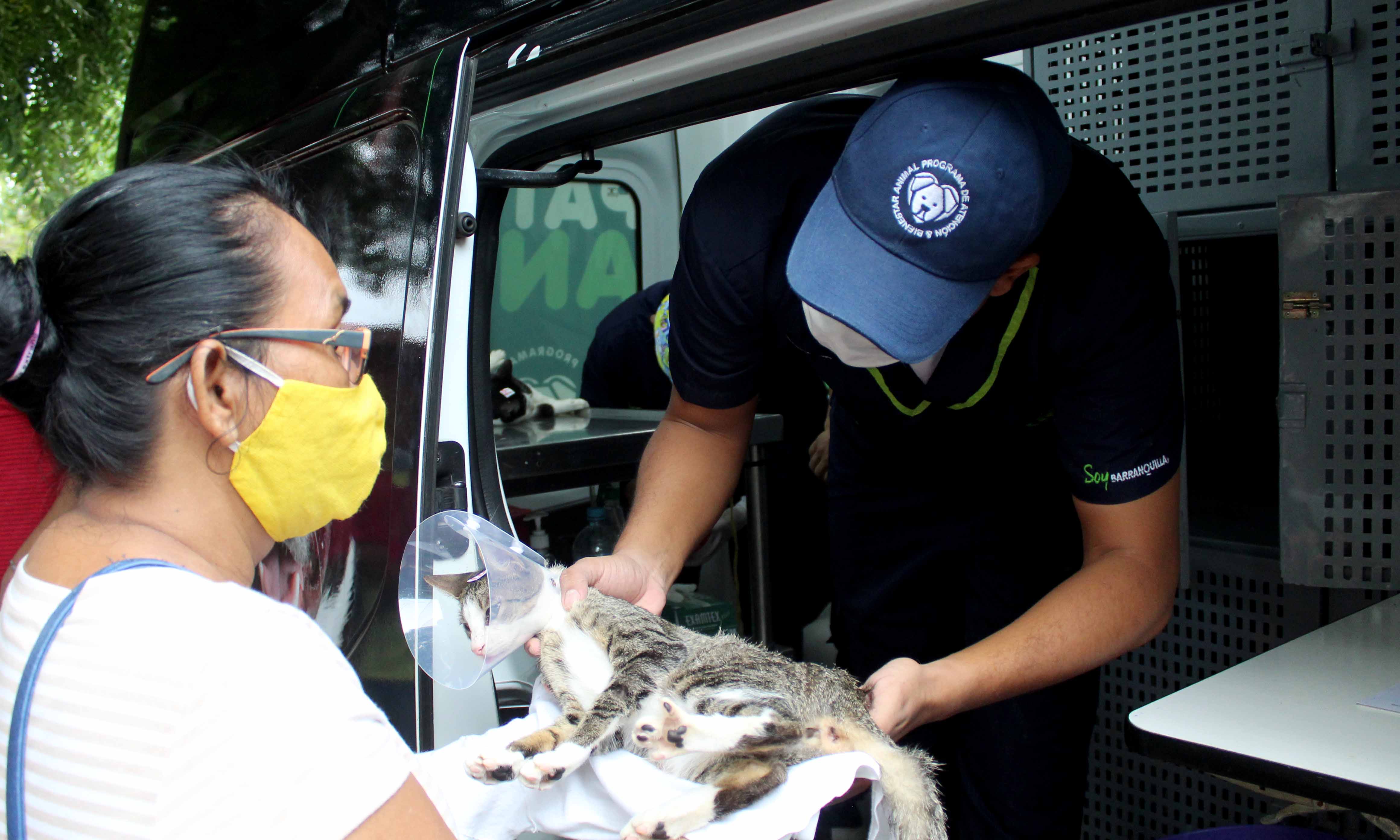 'Patrulla animal' atiende a un gato.