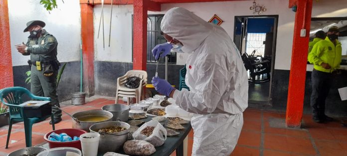 Las autoridades inspeccionando las tortugas que han sido cazadas. 